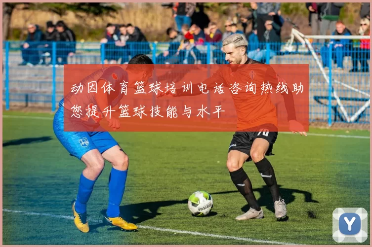 动因体育篮球培训电话咨询热线助您提升篮球技能与水平