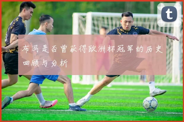 布冯是否曾获得欧洲杯冠军的历史回顾与分析