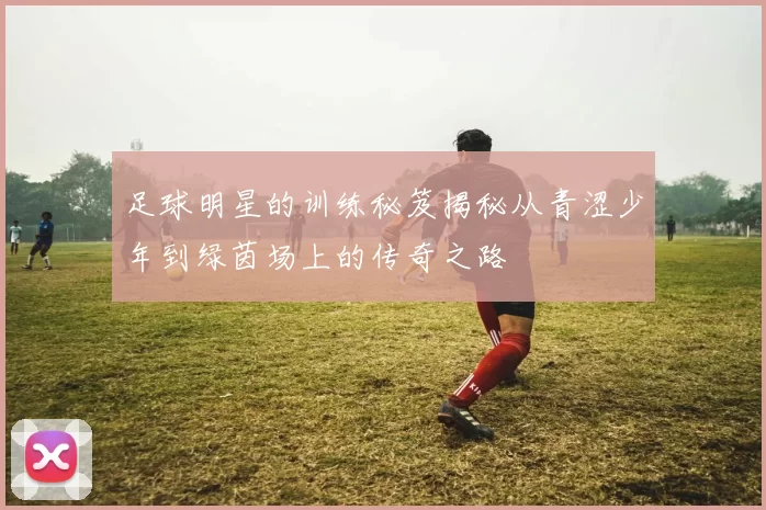 足球明星的训练秘笈揭秘从青涩少年到绿茵场上的传奇之路